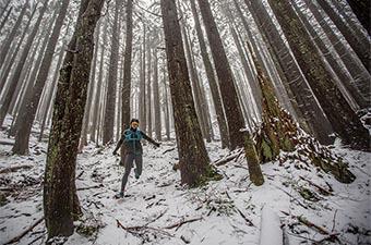 Arc'teryx Norvan SL Insulated jacket (running through snowy woods)